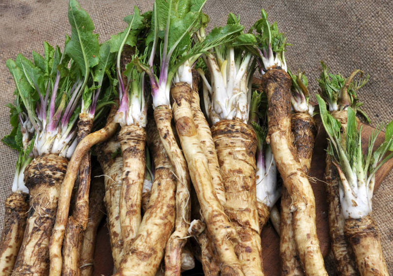 脱水辣根：传统食材的现代魅力与价值探索