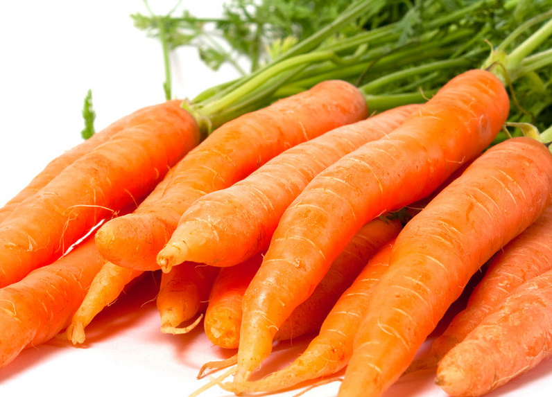 连接全球餐桌的绿色桥梁